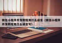 微信小程序开发教程用什么语言（微信小程序开发教程用什么语言写）