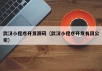 武汉小程序开发源码（武汉小程序开发有限公司）